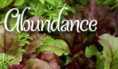 abundance